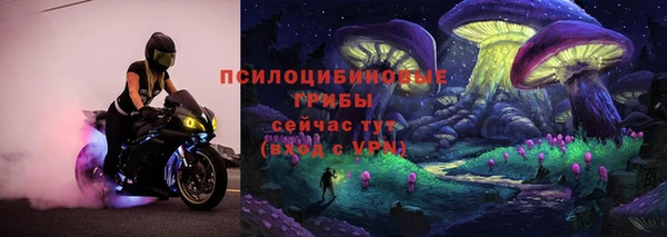 мдпв Верхний Тагил