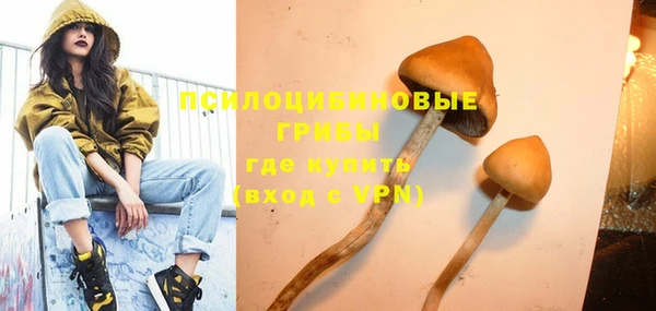 мдпв Верхний Тагил