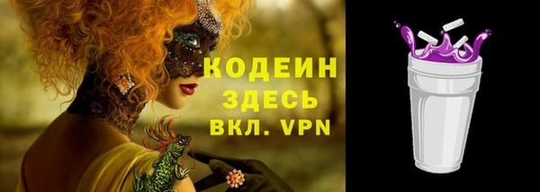 мдпв Верхний Тагил