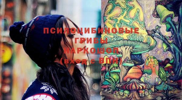 мдпв Верхний Тагил