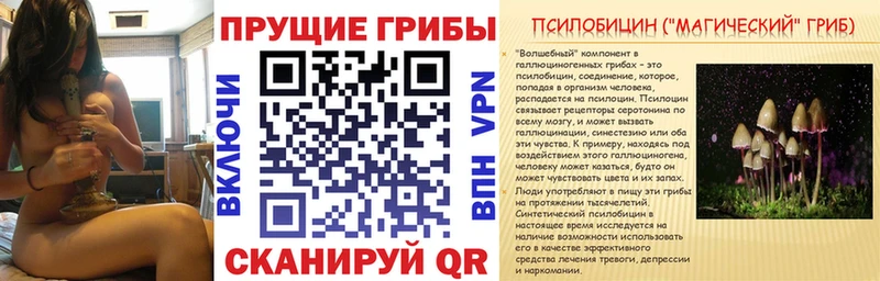 Галлюциногенные грибы Psilocybe Верхоянск