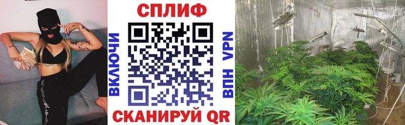 Бошки марихуана конопля  omg зеркало  Верхоянск  купить  